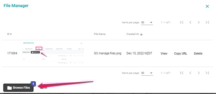Browse files File Manager