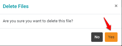 Delete files yes