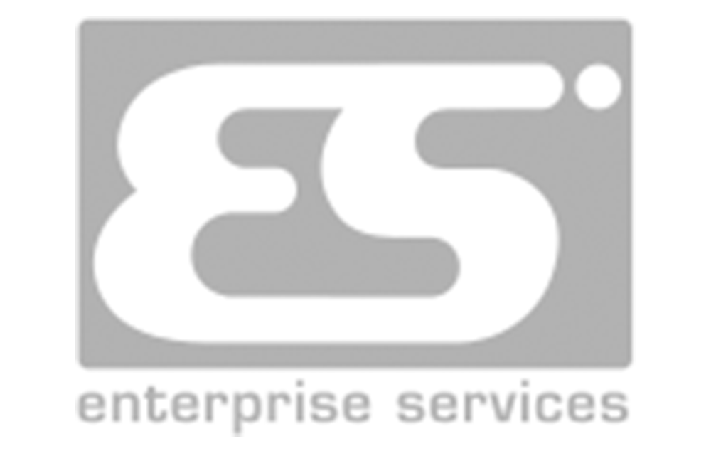 Enterprise Services Logo