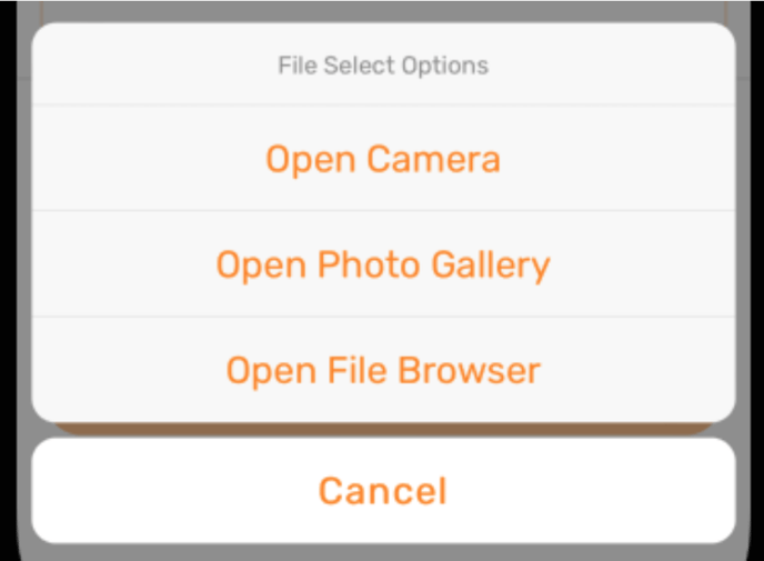 open mobile camera from browser