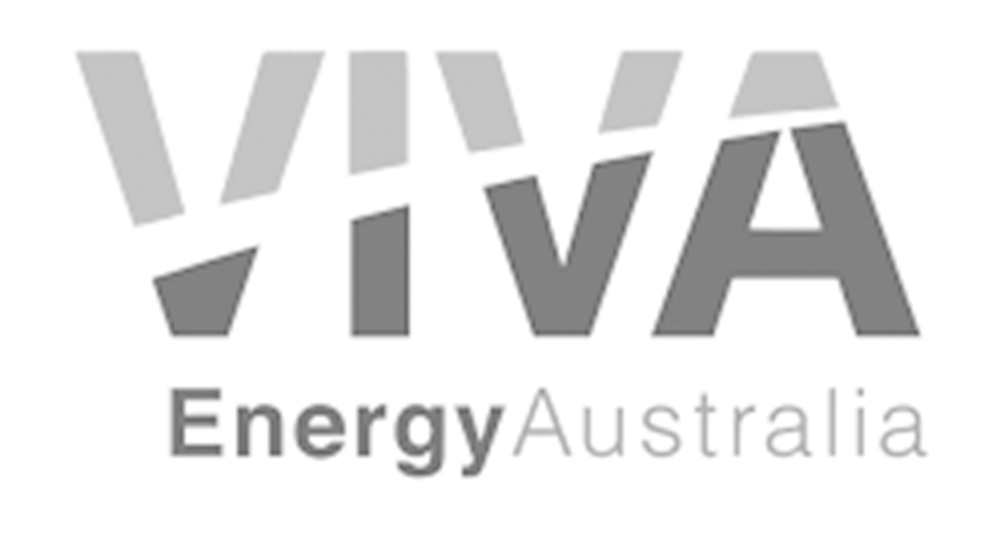 Viva Logo-2